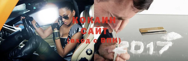 гидра Коряжма