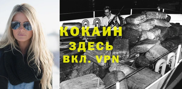 мдпв Кукмор