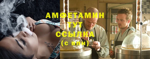 мдпв Кукмор